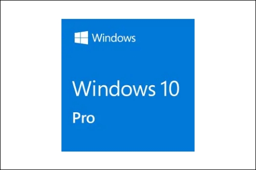 Microsoft Windows10 PRO 64bit 日本語 DSP版